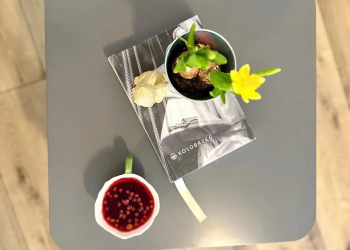 Al-dom Mily Zakatek W Centrum Lejlighed *