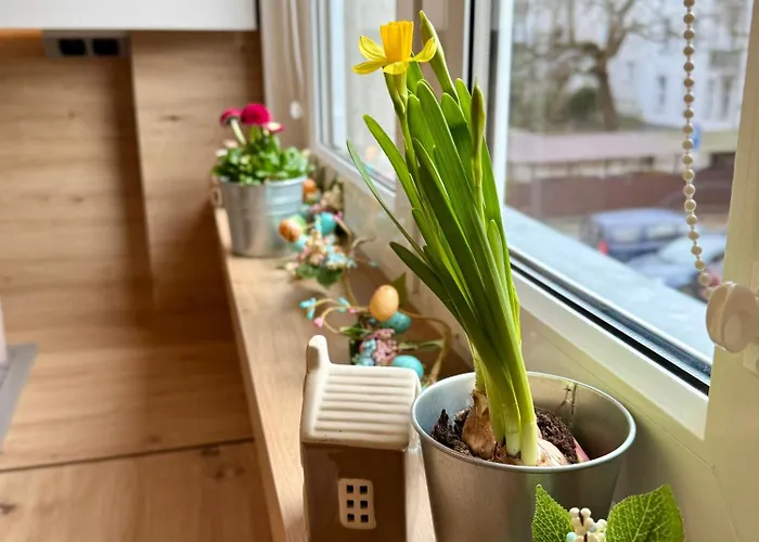 Lejlighed Al-dom Mily Zakatek W Centrum *